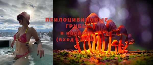 амф Арсеньев